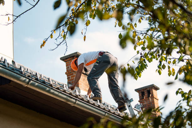 Best Chimney Flashing Repair  in Cienegas Terrace, TX